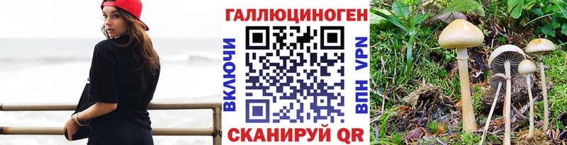 Купить где  Луза  Галлюциногенные грибы Magic Shrooms 