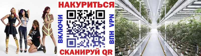 Каннабис MAZAR  Купить закладки  Луза 